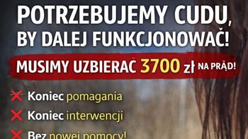 Zbiórka Zbieramy na prąd 🚨💡💡 - miniaturka zdjęcia