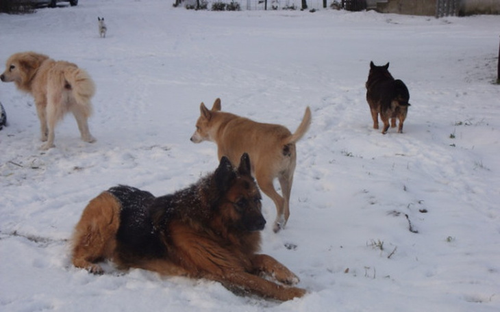 Zbiórka BYĆ albo nie BYĆ ... - zdjęcie główne