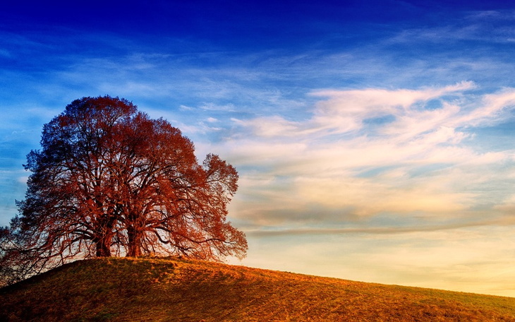 Zbiórka na remont osp - zdjęcie główne