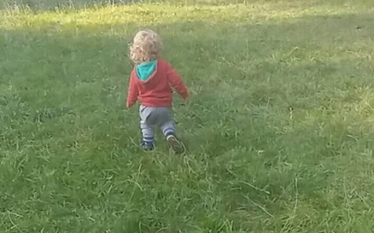 Zbiórka Odświeżenie Mieszkania - zdjęcie główne