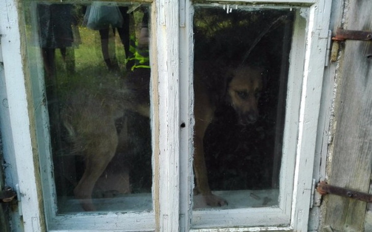 Zbiórka Leo- ROK izolacji i zamknięcia - zdjęcie główne