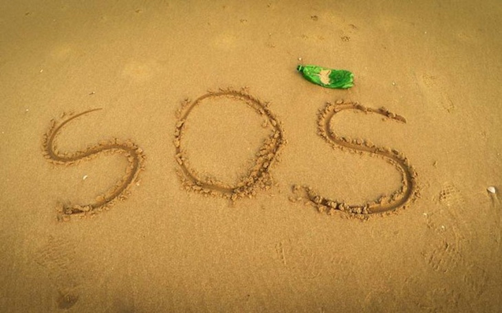 Zbiórka Poszukiwania Mamy - zdjęcie główne