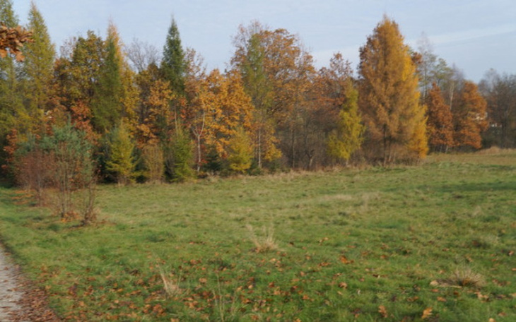 Zbiórka zbieram na badania dla mamy - zdjęcie główne