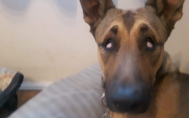 Zbiórka Mira - zdjęcie główne