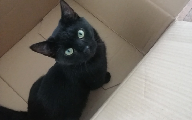 Zbiórka Na leczenie serduszka i nerek - zdjęcie główne