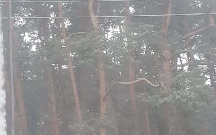 Zbiórka używany samochód dostawczy - zdjęcie główne