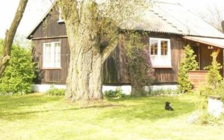 Zbiórka Na dobro rodziny wielodzietnej - zdjęcie główne