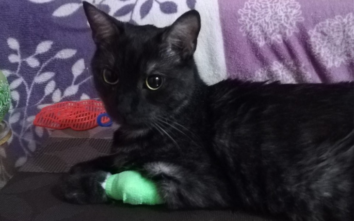 Zbiórka Zbiórka na Aksika - zdjęcie główne