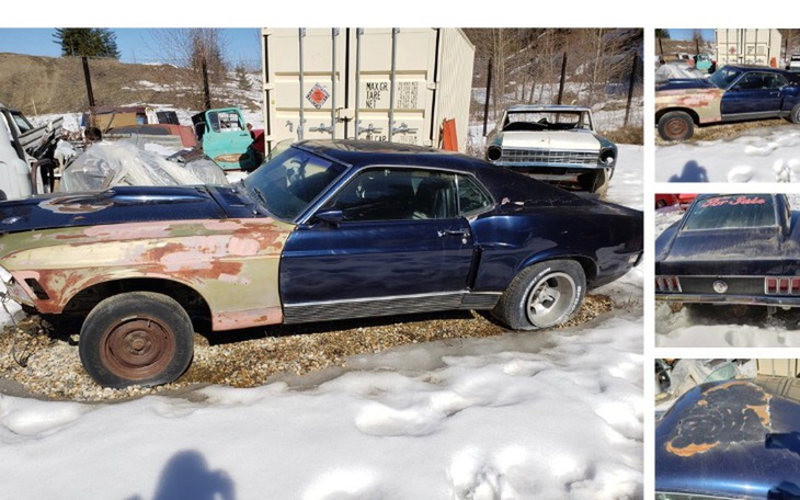 Zbiórka Pomoc w zakupie Mustanga - zdjęcie główne