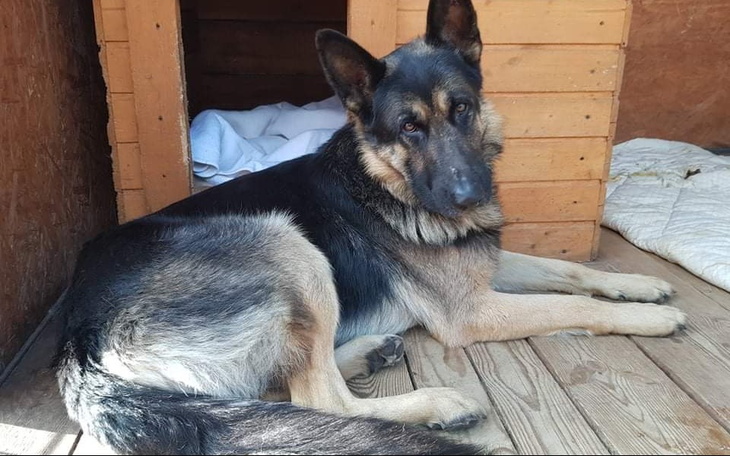 Zbiórka Prosimy o pomoc dla Bruna - zdjęcie główne