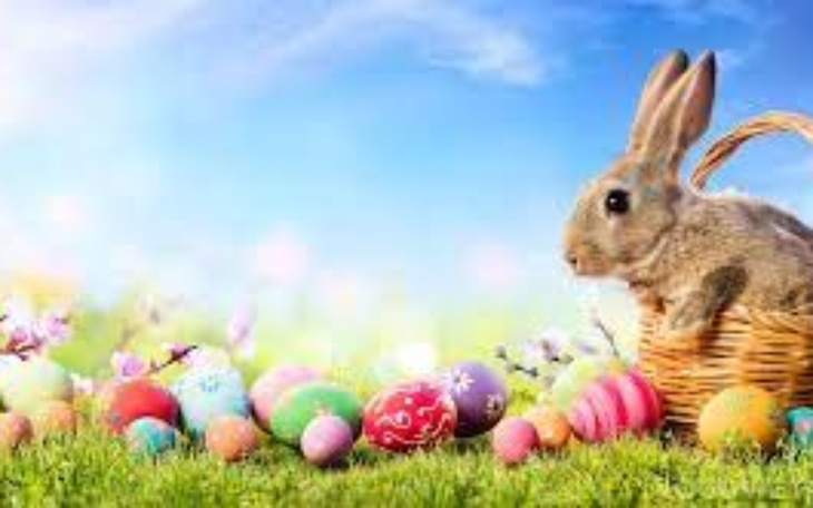 Zbiórka Unban dla bulwiana na RP - zdjęcie główne