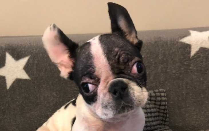 Zbiórka Pomóżcie nam walczyć !!! - zdjęcie główne