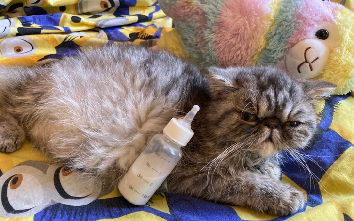 Zbiórka Podaruj życie Ludwiczkowi - zdjęcie główne