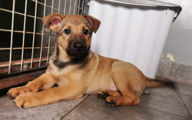 Zbiórka Kierunek nowy dom - zdjęcie główne