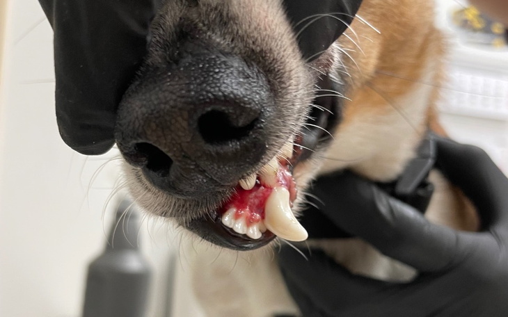 Zbiórka Zbiórka na Rokiego - zdjęcie główne