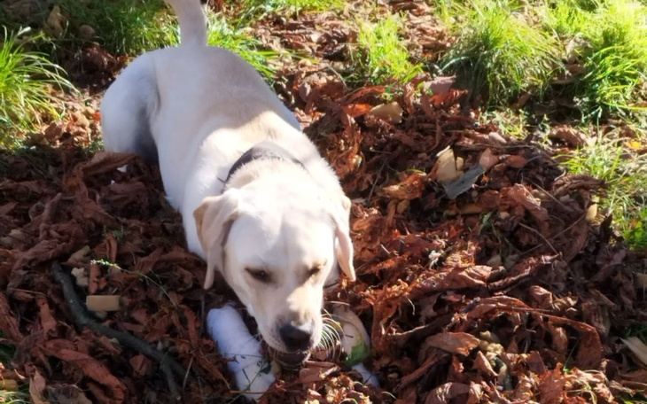 Zbiórka Na lepsze żyćko - zdjęcie główne