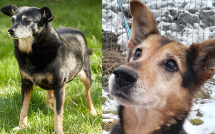 Zbiórka Na leczenie Tofika i Klarci - zdjęcie główne