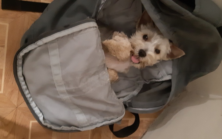 Zbiórka Operacji dla Rokusia - zdjęcie główne