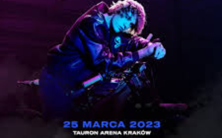 Zbiórka Bilet koncert Justina Biebera - zdjęcie główne