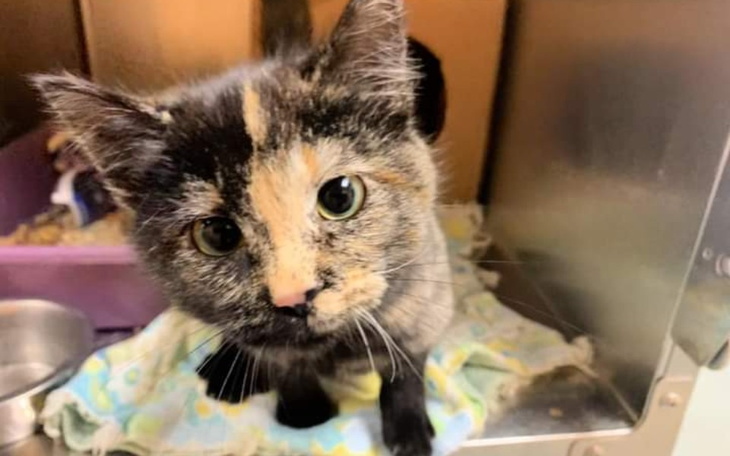 Zbiórka Nie chcemy być głodni - zdjęcie główne