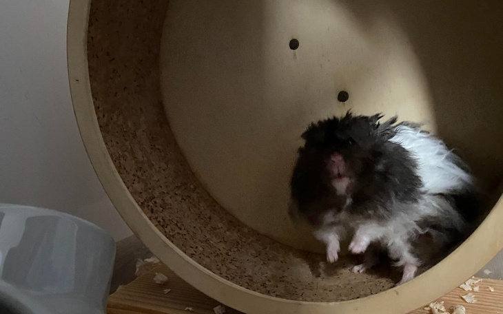 Zbiórka Faktury do zapłaty w styczniu - zdjęcie główne