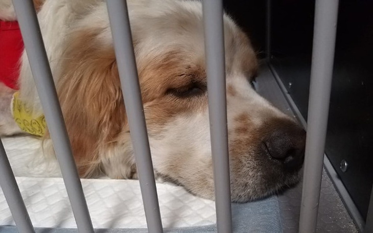 Zbiórka Dramat Kolumba - zdjęcie główne