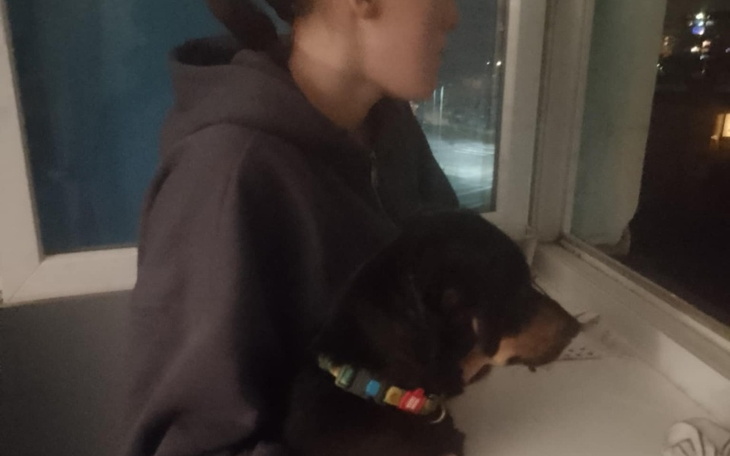 Osoba trzyma psa na rękach, oboje patrzą przez okno w nocne miasto.