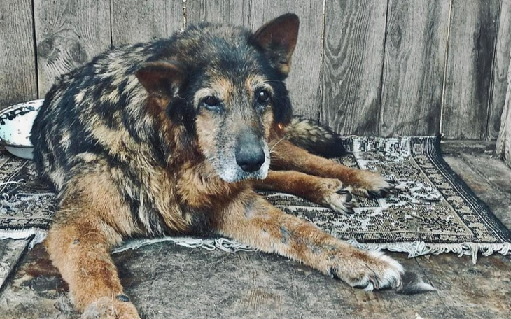 Zbiórka Wyrwijmy Kapitana z kraju wojny - zdjęcie główne