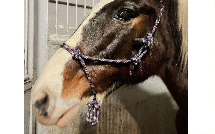 Zbiórka Operacja Tadzia - zdjęcie główne