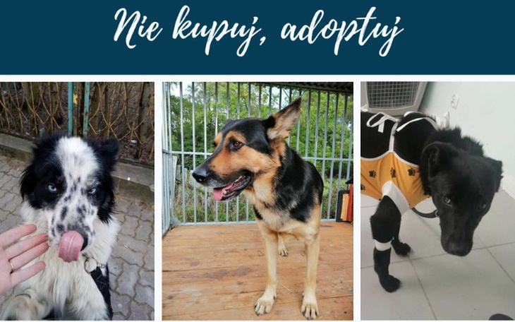 Zbiórka Ciężka sytuacja fundacji - zdjęcie główne