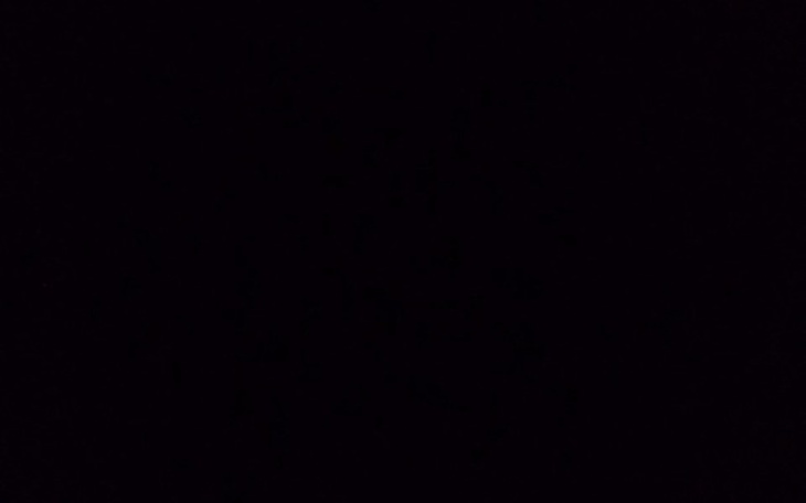 Zbiórka spokojna ostoja dla dzieci - zdjęcie główne