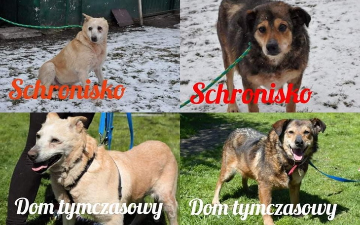 Zbiórka Latami za kratami. - zdjęcie główne