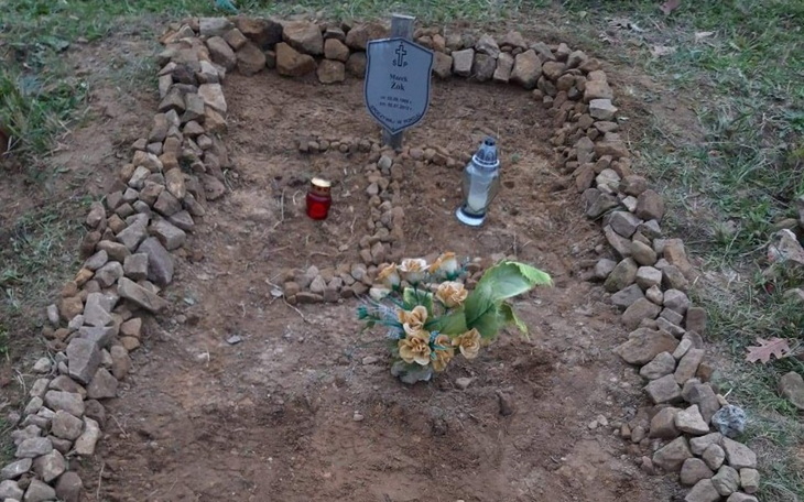 Zbiórka Godny pochówek - zdjęcie główne