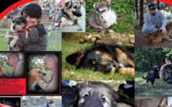 Zbiórka Schronisko w Rudniku - zdjęcie główne