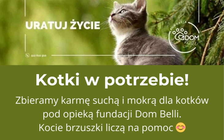 Zbiórka Wsparcie fundacji ,, Dom Belli,, - zdjęcie główne