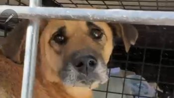 Zbiórka Bilet do życia Turcja - Polska - miniaturka zdjęcia