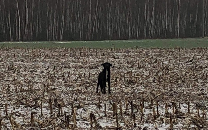 Zbiórka By przetrwać PILNE - zdjęcie główne