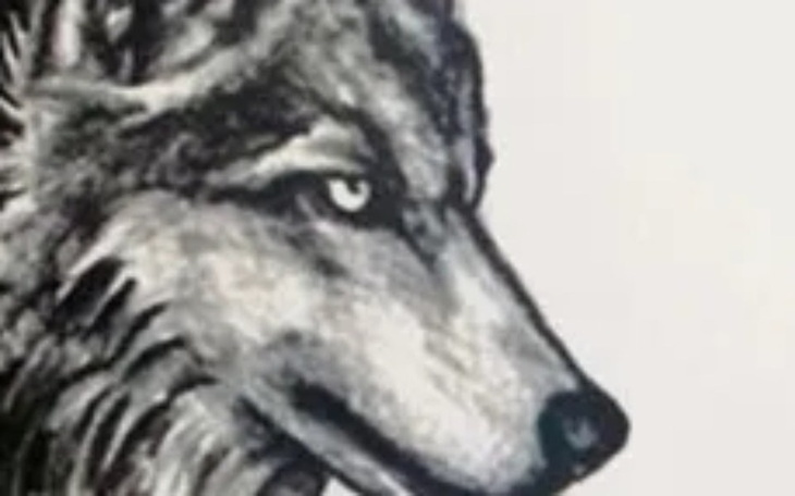 Zbiórka Pomoc. Na życie - zdjęcie główne