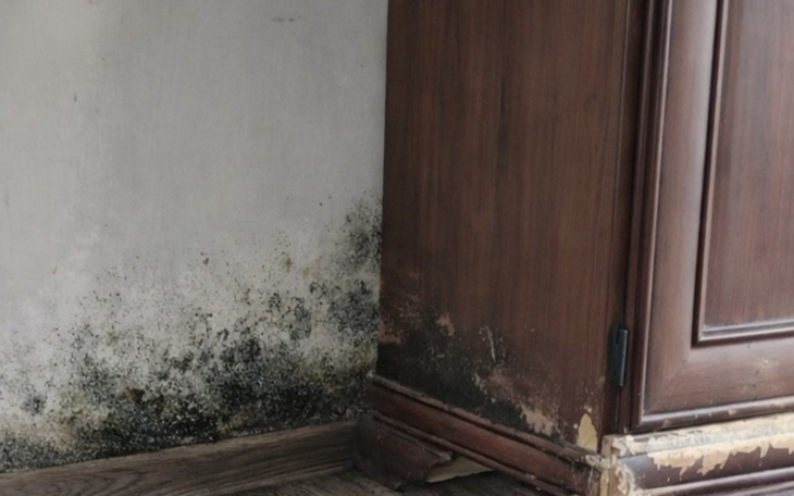 Zniszczona ściana z pleśnią w kącie pokoju.