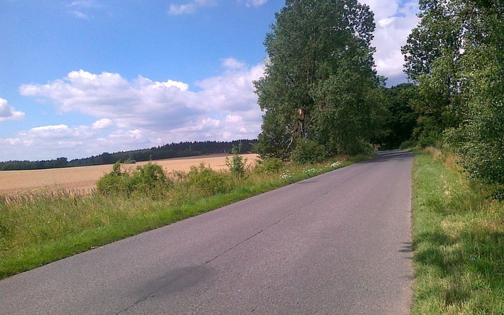 Spokojna wiejska droga otoczona zielenią i drzewami.