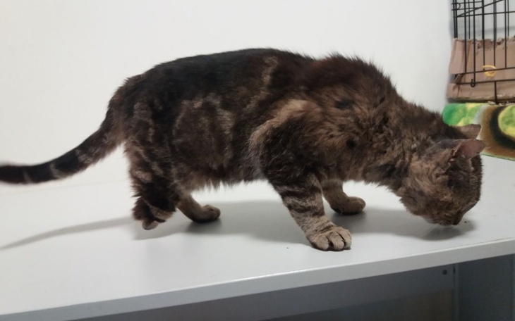 Zbiórka Pan Nóżka - zdjęcie główne