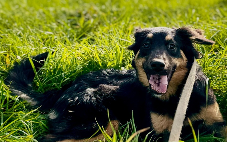 Zbiórka Studenckie Koło Inwestor - zdjęcie główne