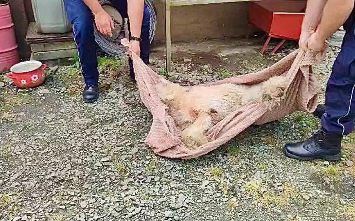 Zbiórka Pomóżcie mu opuścić Podhale.. - zdjęcie główne