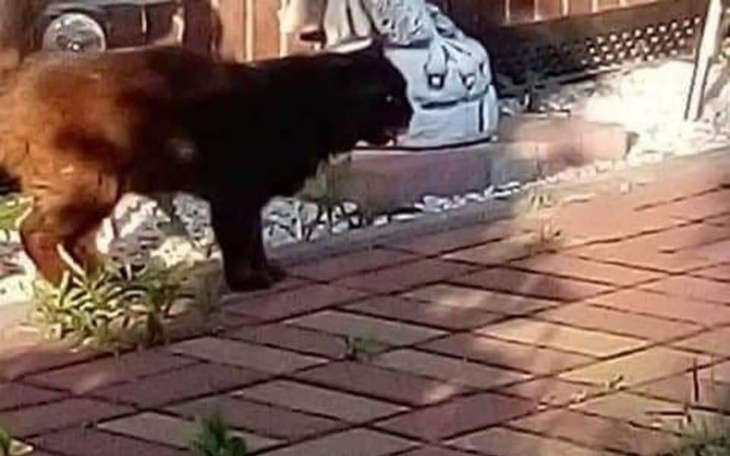 Zbiórka Dla Wichra - zdjęcie główne