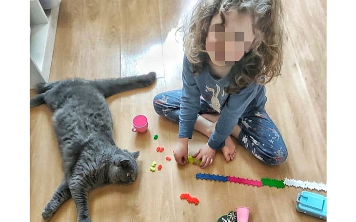 Dziecko bawi się z kotem, otoczone kolorowymi zabawkami.
