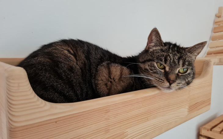 Zbiórka Luty w Malinowym Zdroju - zdjęcie główne