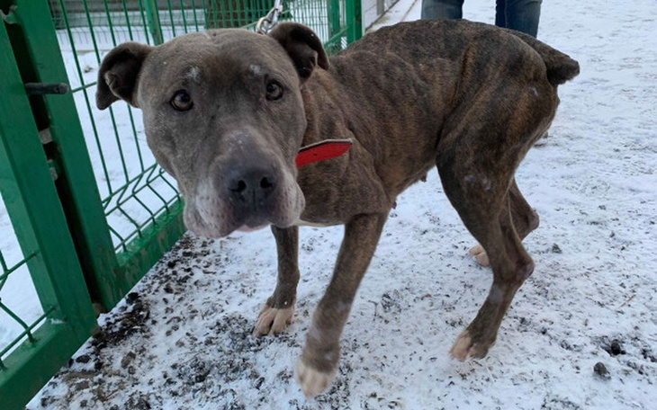 Zbiórka Pucha dla wygłodniałego brzucha! - zdjęcie główne