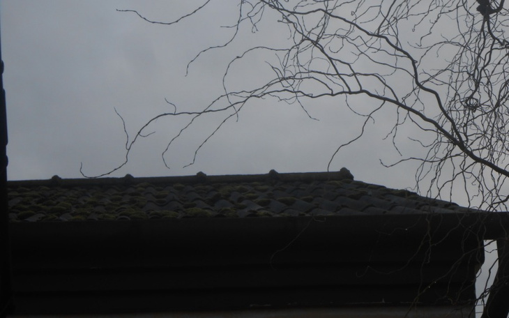 Zbiórka zbiórka dla dziadków - zdjęcie główne