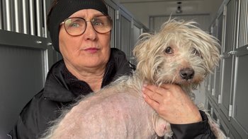 Zbiórka Ratunkowe Mikołajki DIOZ - miniaturka zdjęcia