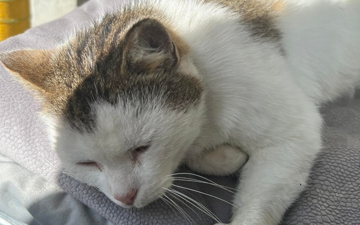 Zbiórka Zbiórka na Weteranka Kwiecień - zdjęcie główne